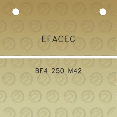 efacec-bf4-250-m42