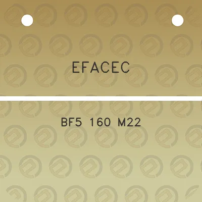 efacec-bf5-160-m22