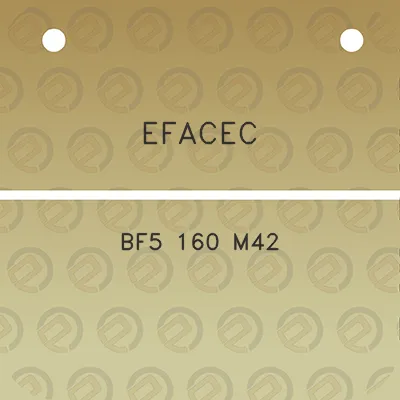 efacec-bf5-160-m42