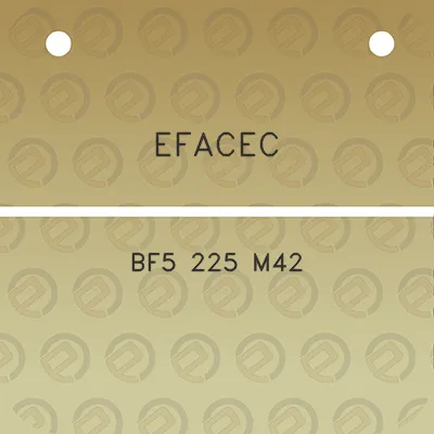 efacec-bf5-225-m42