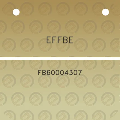 effbe-fb60004307