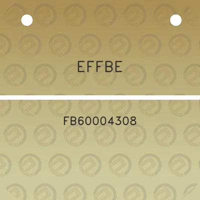 effbe-fb60004308