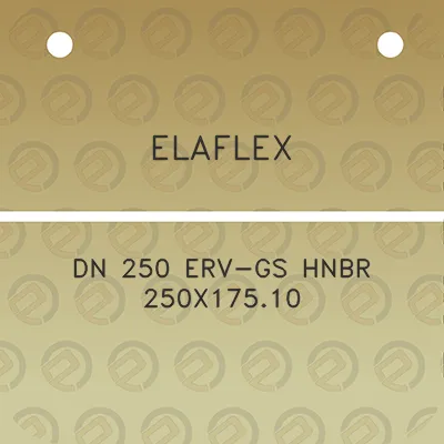 elaflex-dn-250-erv-gs-hnbr-250x17510