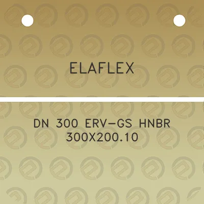 elaflex-dn-300-erv-gs-hnbr-300x20010