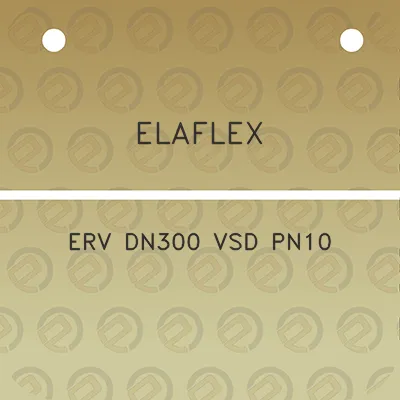 elaflex-erv-dn300-vsd-pn10