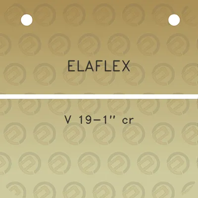 elaflex-v-19-1-cr