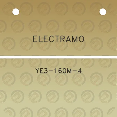 electramo-ye3-160m-4