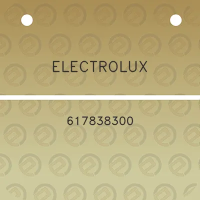 electrolux-617838300