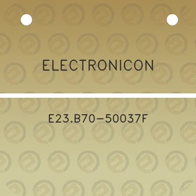 electronicon-e23b70-50037f