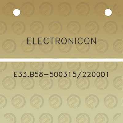 electronicon-e33b58-500315220001