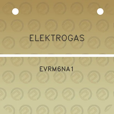 elektrogas-evrm6na1