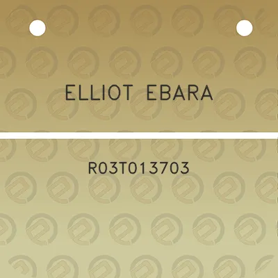 elliot-ebara-r03t013703