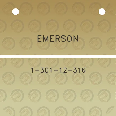 emerson-1-301-12-316