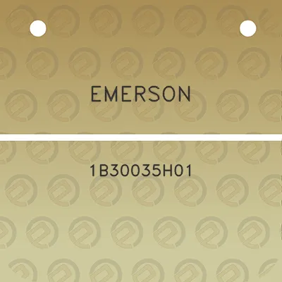 emerson-1b30035h01