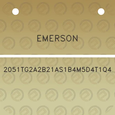 emerson-2051tg2a2b21as1b4m5d4t1q4