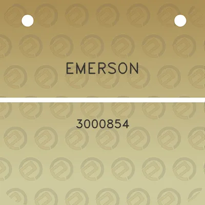 emerson-3000854