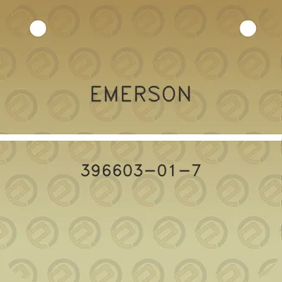 emerson-3387-01-07