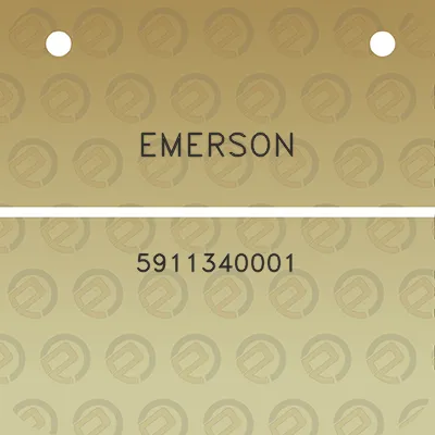 emerson-5911340001