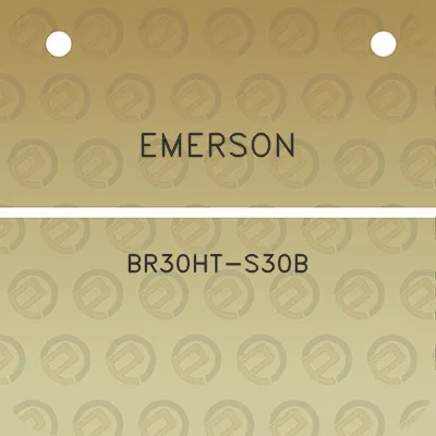 emerson-br30ht-s30b