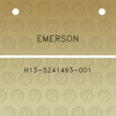 emerson-h13-5241493-001