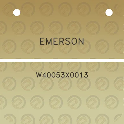 emerson-w40053x0013