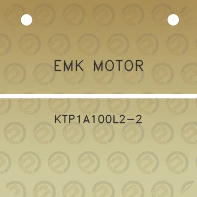 emk-motor-ktp1a100l2-2