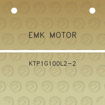 emk-motor-ktp1g100l2-2