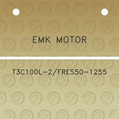 emk-motor-t3c100l-2fres50-1255