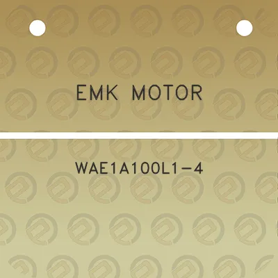 emk-motor-wae1a100l1-4