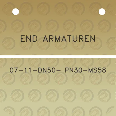 end-armaturen-07-11-dn50-pn30-ms58