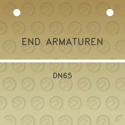 end-armaturen-dn65