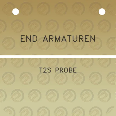 end-armaturen-t2s-probe