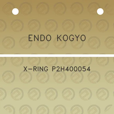 endo-kogyo-x-ring-p2h400054