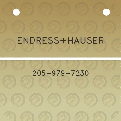 endresshauser-205-979-7230