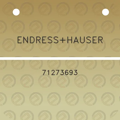 endresshauser-71273693