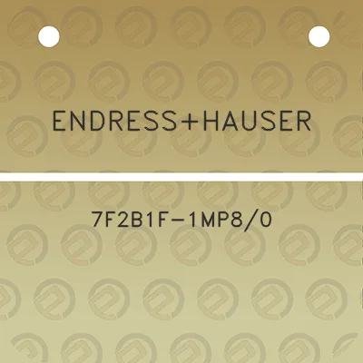 endresshauser-7f2b1f-1mp80