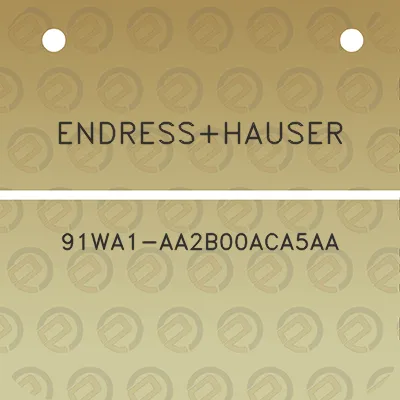 endresshauser-91wa1-aa2b00aca5aa