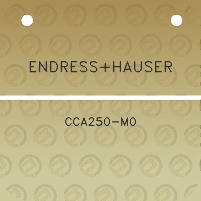 endresshauser-cca250-m0