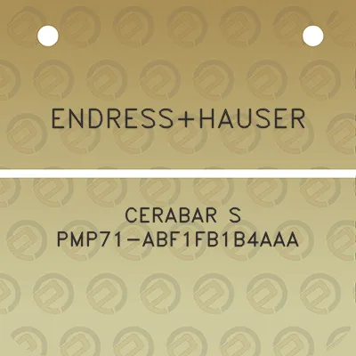 endresshauser-cerabar-s-pmp71-abf1fb1b4aaa