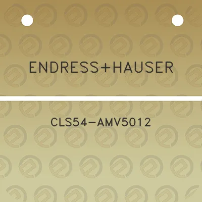 endresshauser-cls54-amv5012