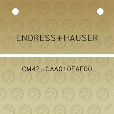 endresshauser-cm42-caa010eae00