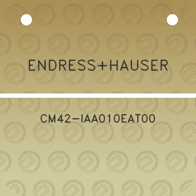 endresshauser-cm42-iaa010eat00