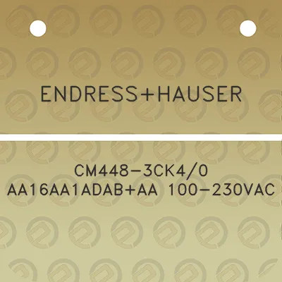 endresshauser-cm448-3ck40-aa16aa1adabaa-100-230vac