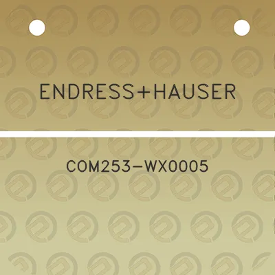 endresshauser-com253-wx0005