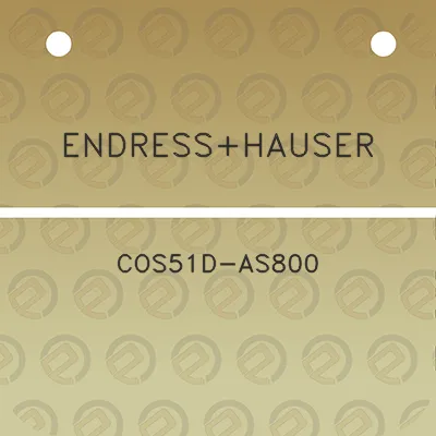 endresshauser-cos51d-as800