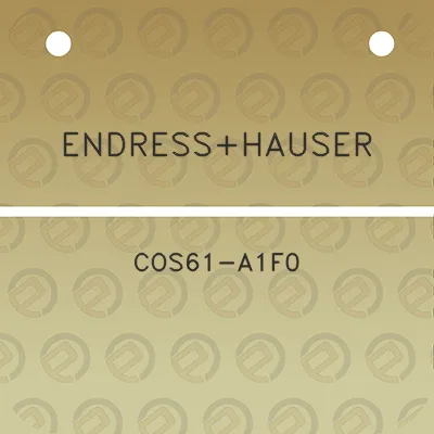 endresshauser-cos61-a1f0