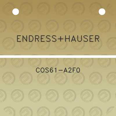 endresshauser-cos61-a2f0