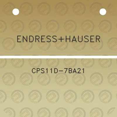 endresshauser-cps11d-7ba21