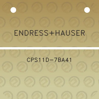 endresshauser-cps11d-7ba41