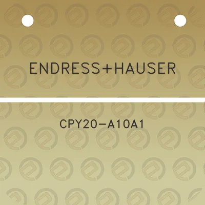 endresshauser-cpy20-a10a1